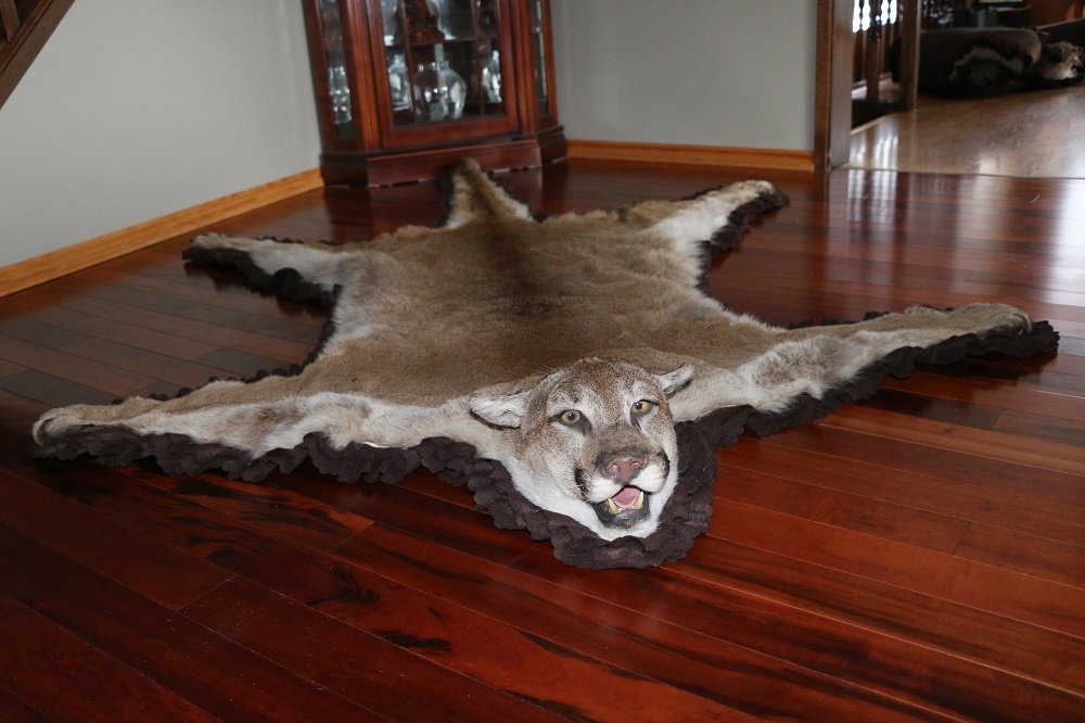 Mountain Lion Cougar Rug P&D International Furtraders