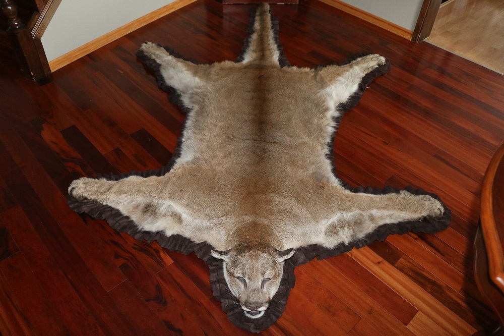 Mountain Lion Cougar Rug P&D International Furtraders