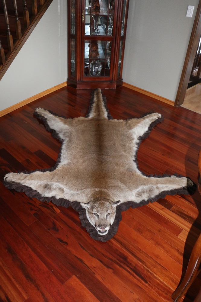 Mountain Lion Cougar Rug P&D International Furtraders