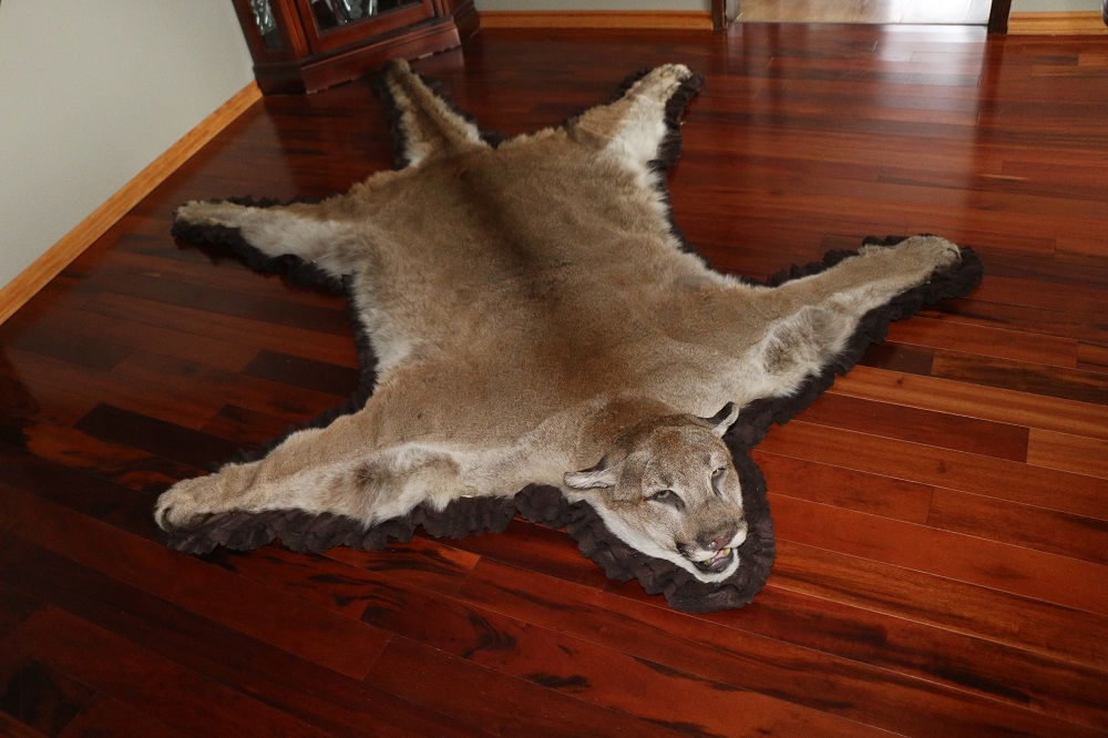 Mountain Lion Cougar Rug P&D International Furtraders