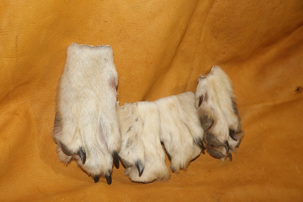 Wolf Claws P&D International Furtraders
