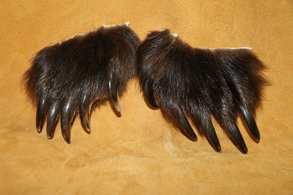 Grizzly Bear Claws P&D International Furtraders