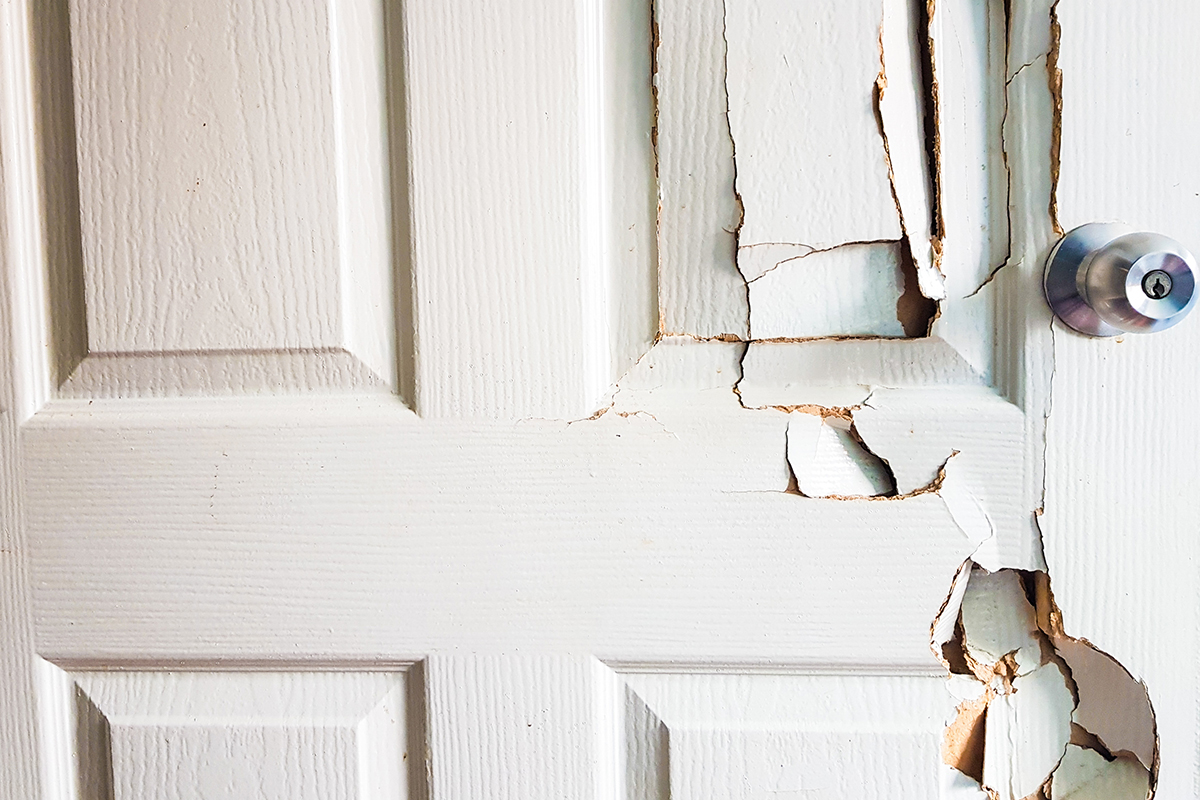 How Much Is It To Replace a Wooden Door?