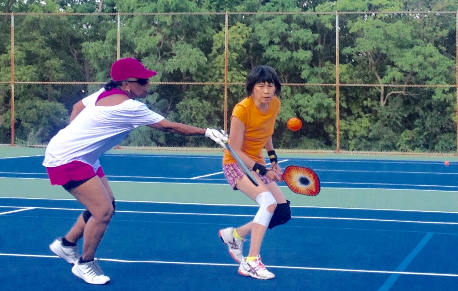 Places to Play Ann Arbor Pickleball