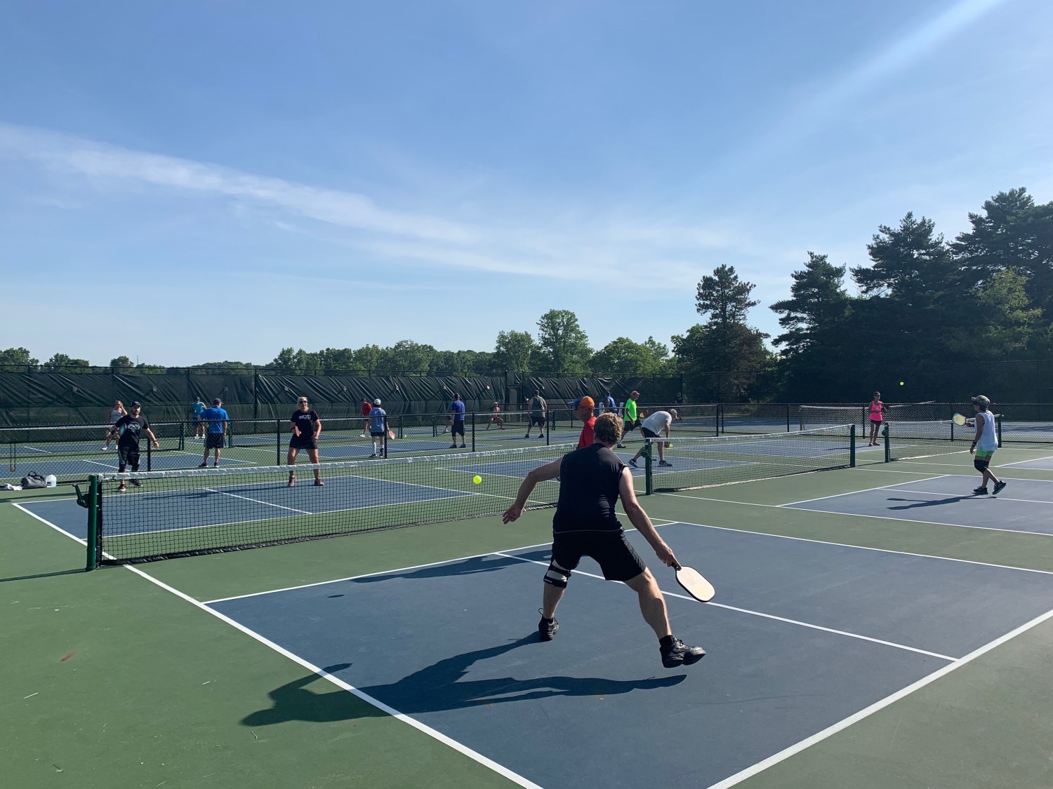 Growing Pickleball in the Ann Arbor Area Ann Arbor Pickleball