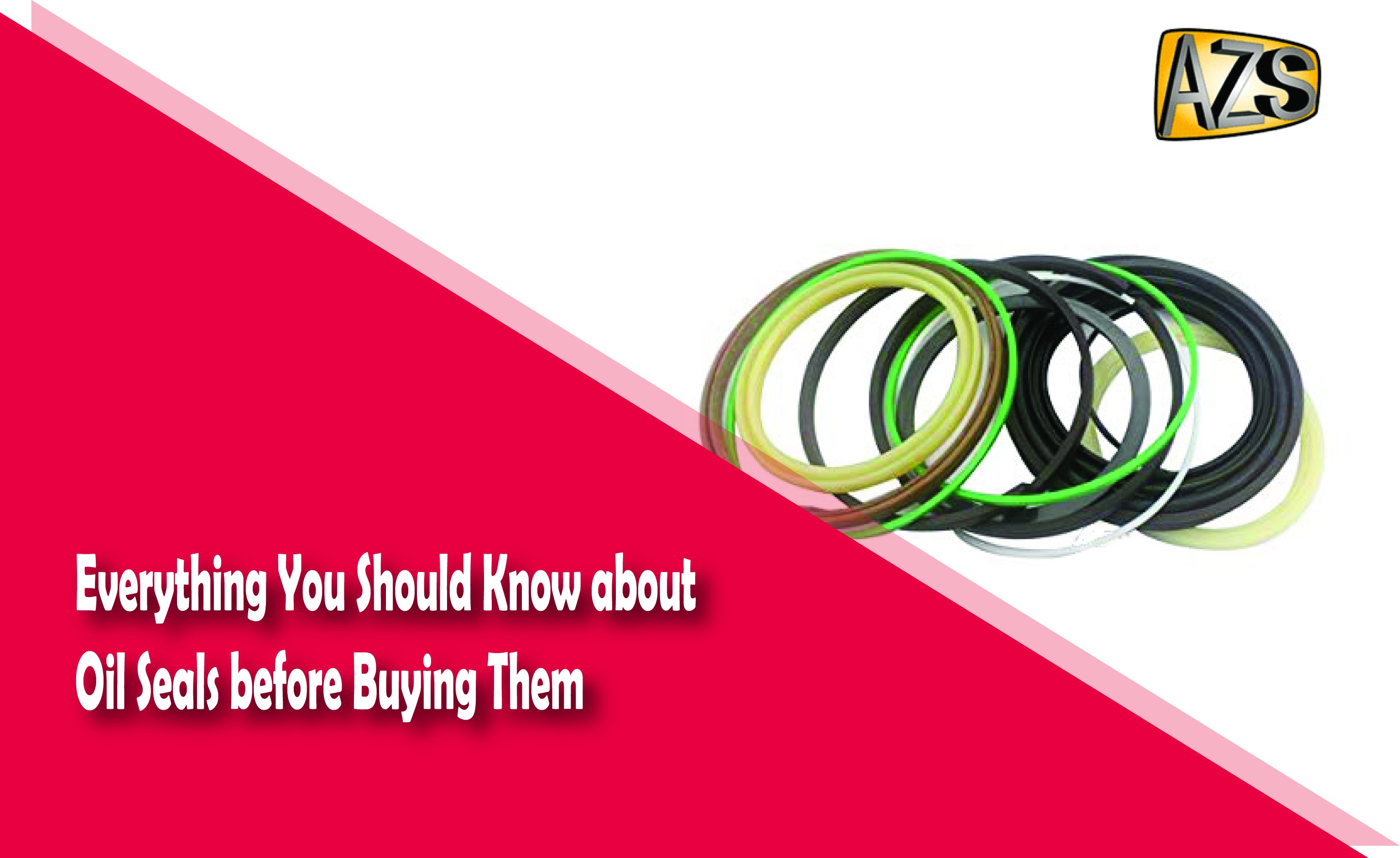 Everything You Should Know about Oil Seals before Buying Them A2Z Seals