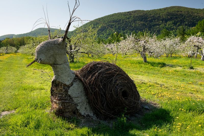 Mont StHilaire, Pavillon de la Pomme 2023 Photo Gallery by Richard