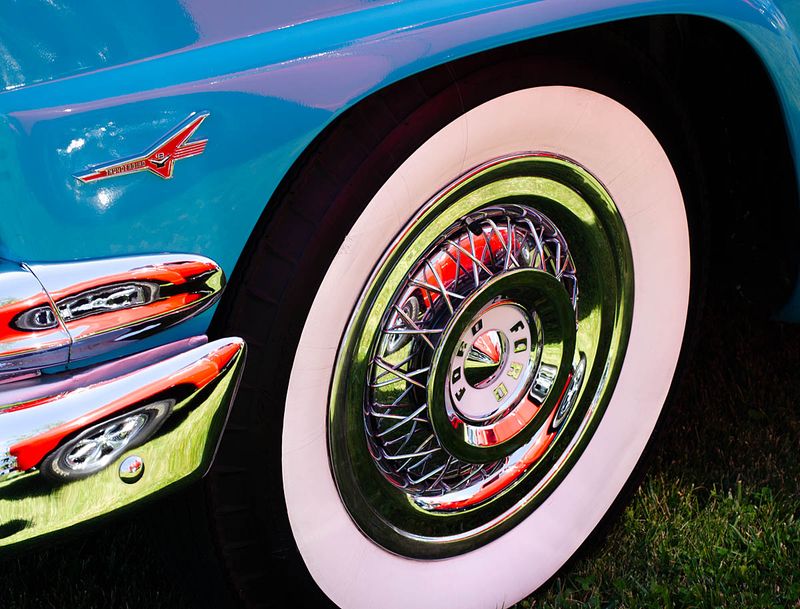 Celoron NY Moose Photo Gallery by Bill Tracy at