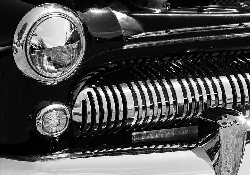 Celoron NY Moose Photo Gallery by Bill Tracy at