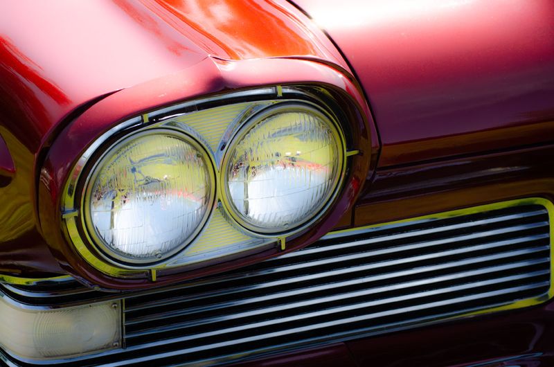 Celoron NY Moose Photo Gallery by Bill Tracy at