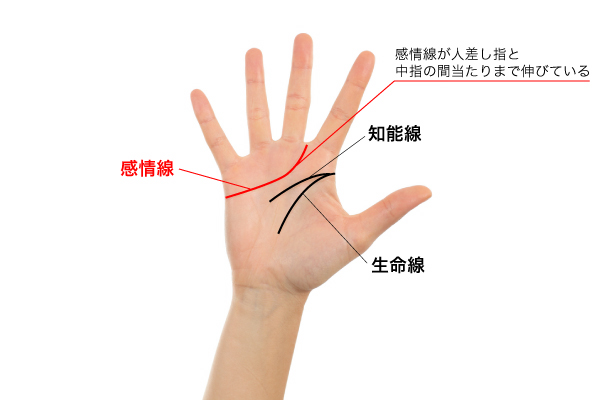 手相占い】人差し指と中指の間にできる線や紋の意味は？パターン別の運勢を紹介 | Mindhack 手相占い】Hoshiが教える2019年の幸運をつかむ手相ベスト3！ 第1位は感情線が長い人！ | 占いTvニュース