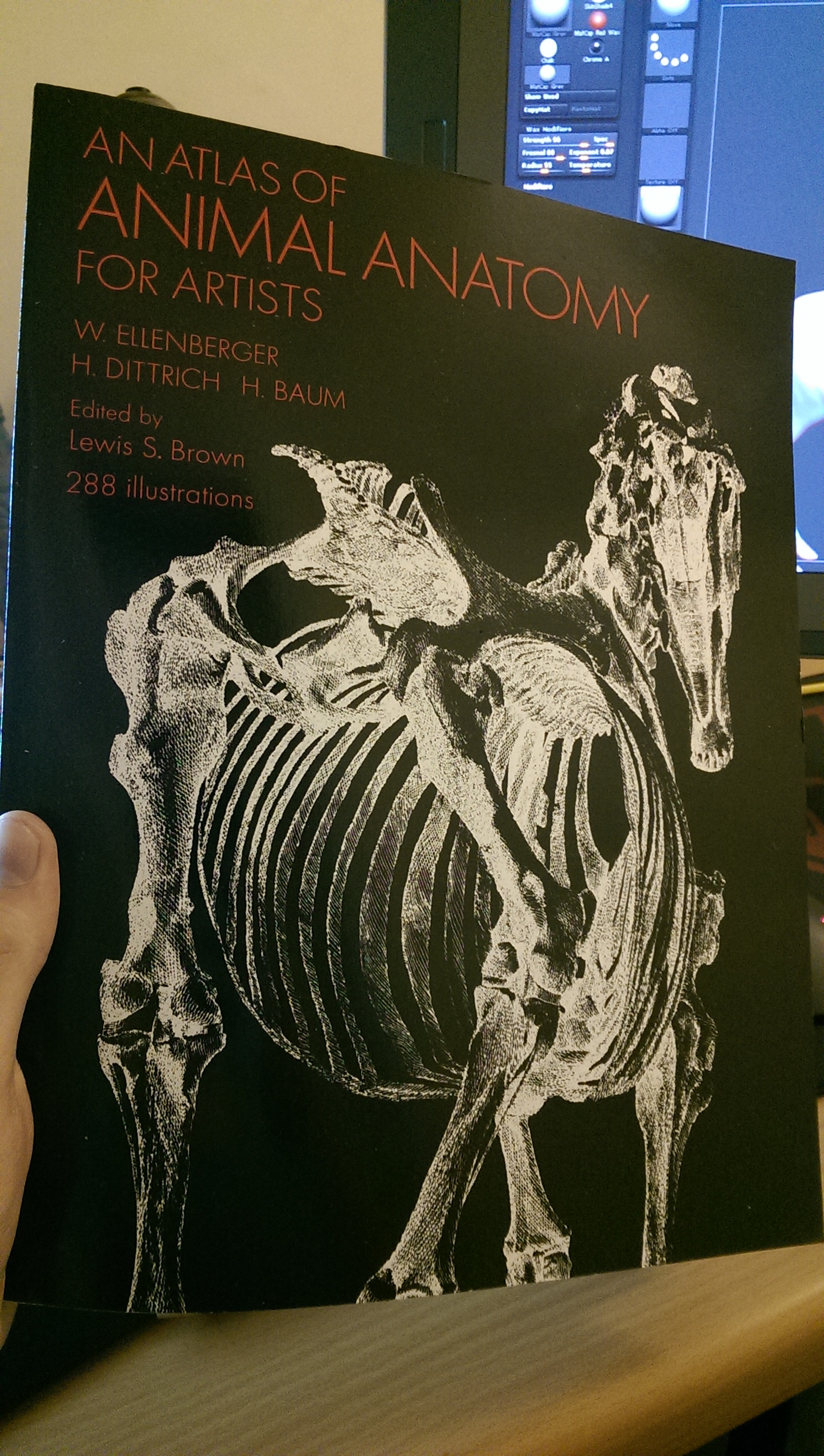 Animal Anatomy book Aaron Humphreys 4th Year