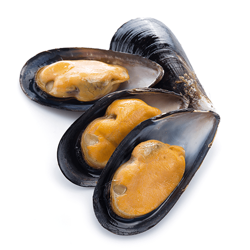 MEJILLÓN CHILENO AAA Seafood