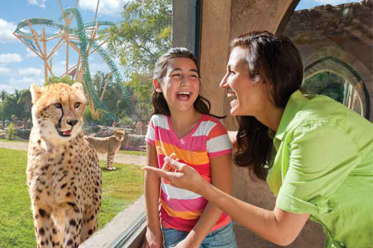 Busch Gardens Travel AAA