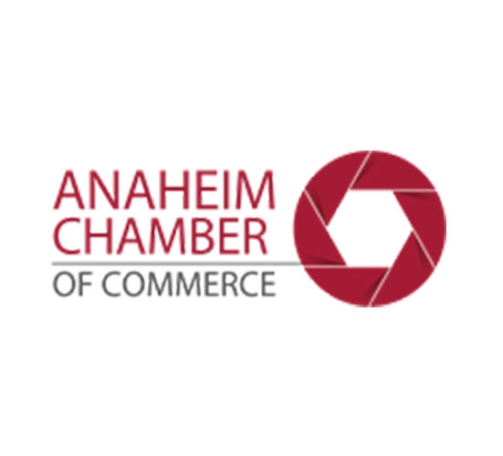 AAA CREDIT SERVICE COLLECTION AGENCY INC