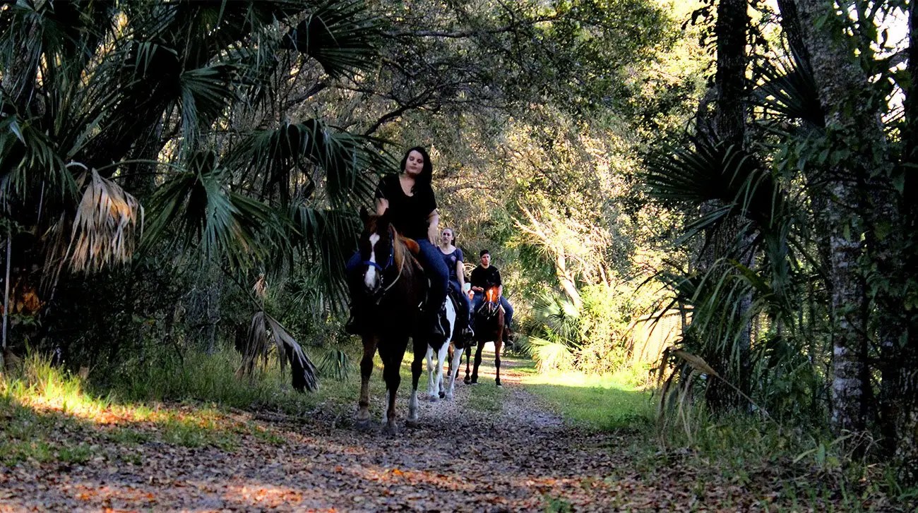 A&A Adventure Horse Trail Rides