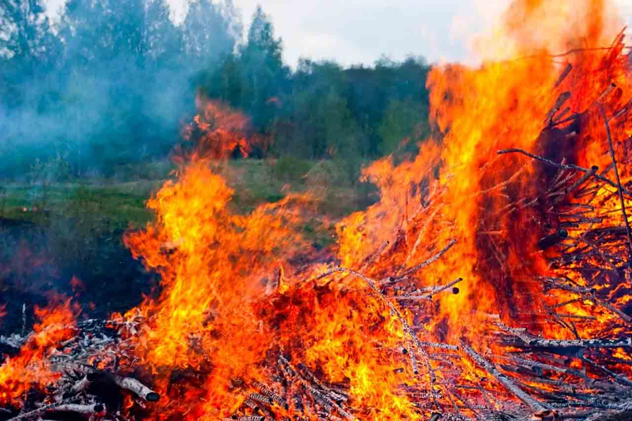 How Wildfires Are Affecting Florida’s Air Quality—And What