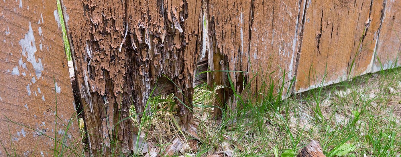 DIY Guide on How to Fix Your Rotting Fence AAA Fences & Decks