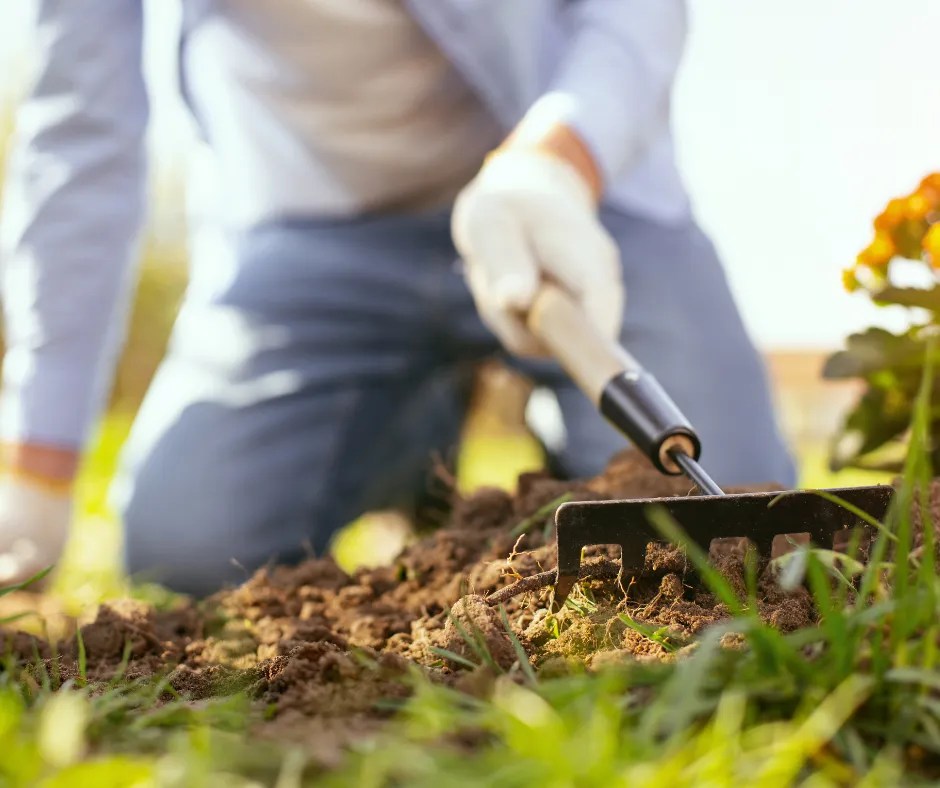 Summer Gardening Services Garden Maintenance Perth AAA Gardens