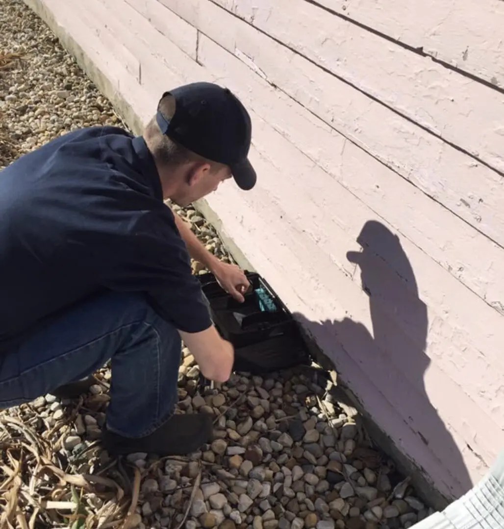 Pest Control Services AAA Pest Control