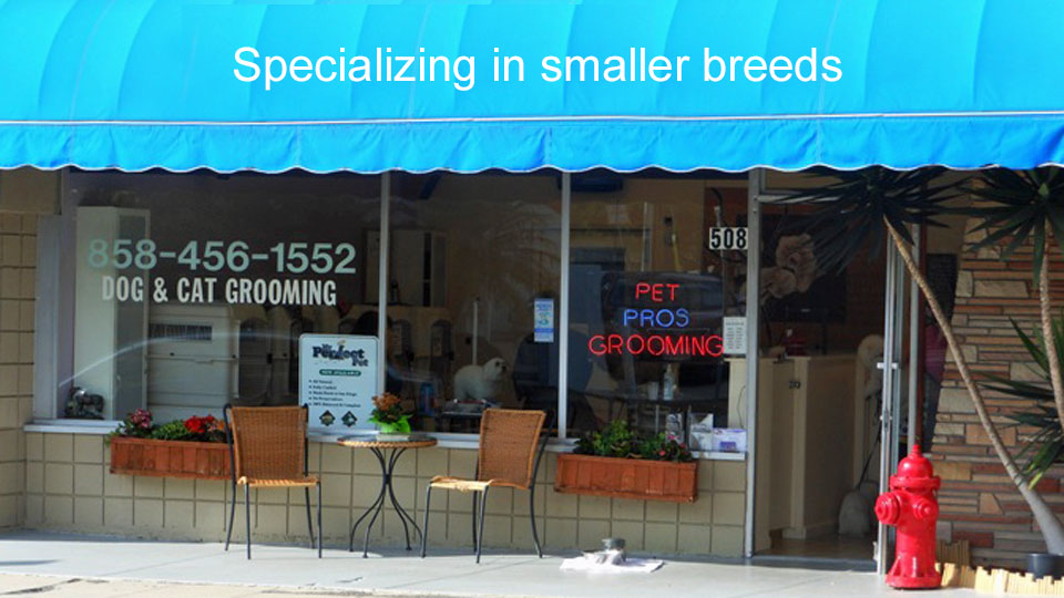 AAA Pet Pros Dog and Cat Grooming