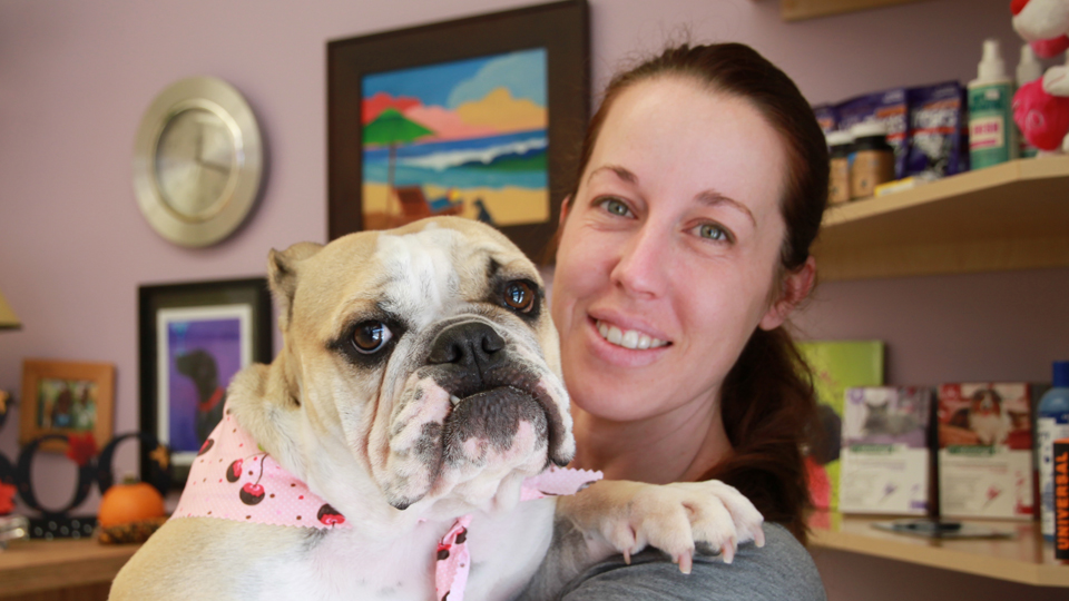 AAA Pet Pros Dog and Cat Grooming