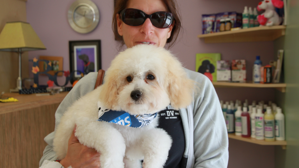 Customer Photos AAA Pet Pros