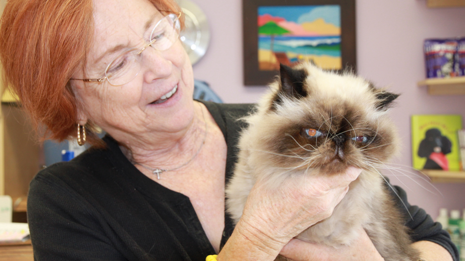 Customer Photos AAA Pet Pros