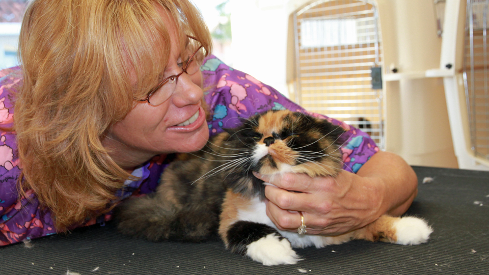 AAA Pet Pros Dog and Cat Grooming