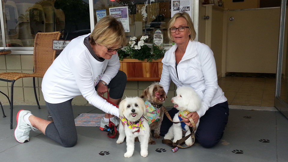 AAA Pet Pros Dog and Cat Grooming