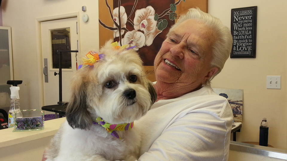 Customer Photos AAA Pet Pros