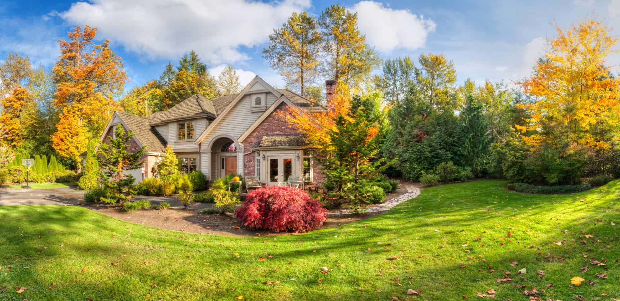 Bought a House With Trees Close to the Foundation? Here's What to Know