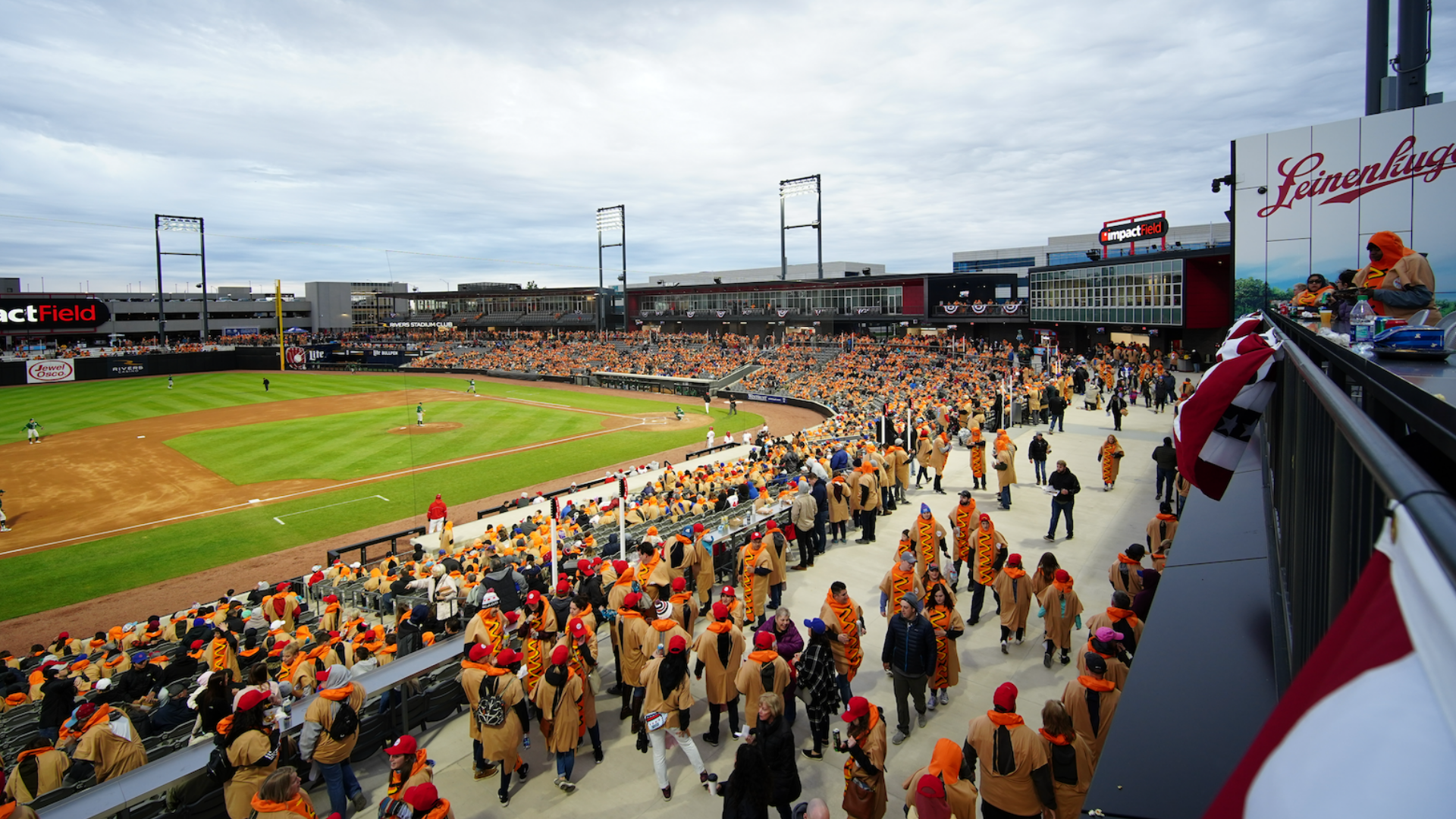 American Association of Professional Baseball Chicago Dogs