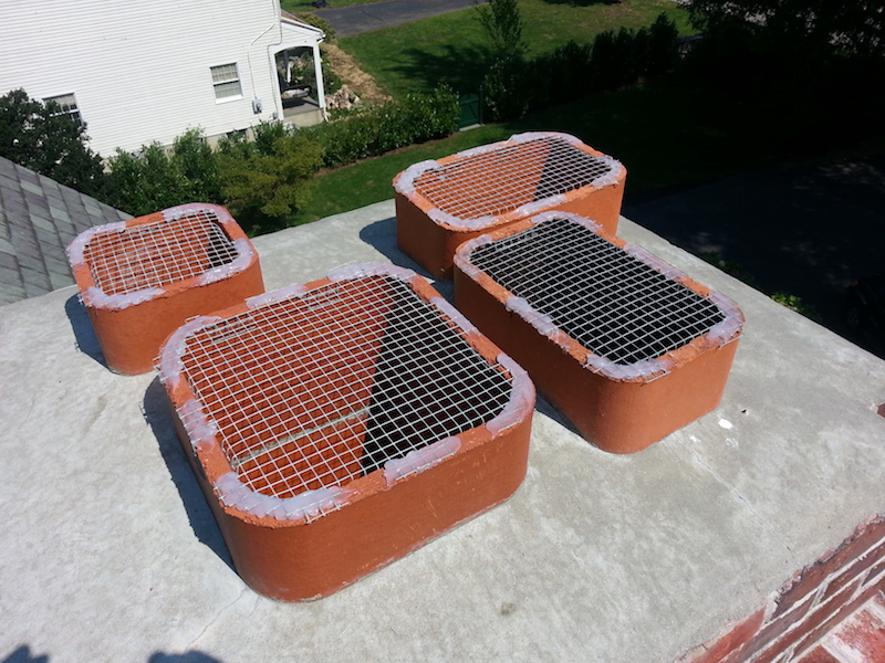 Chimney Caps & Screens AA Bats & Wildlife