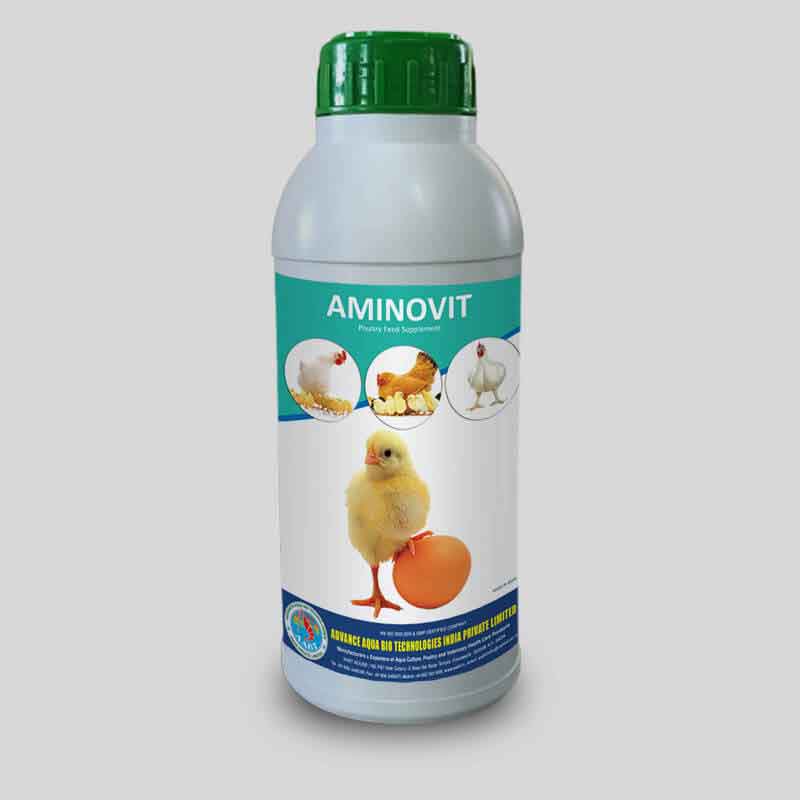 Essential Amino Acid and Vitamin Supplement for Poultry