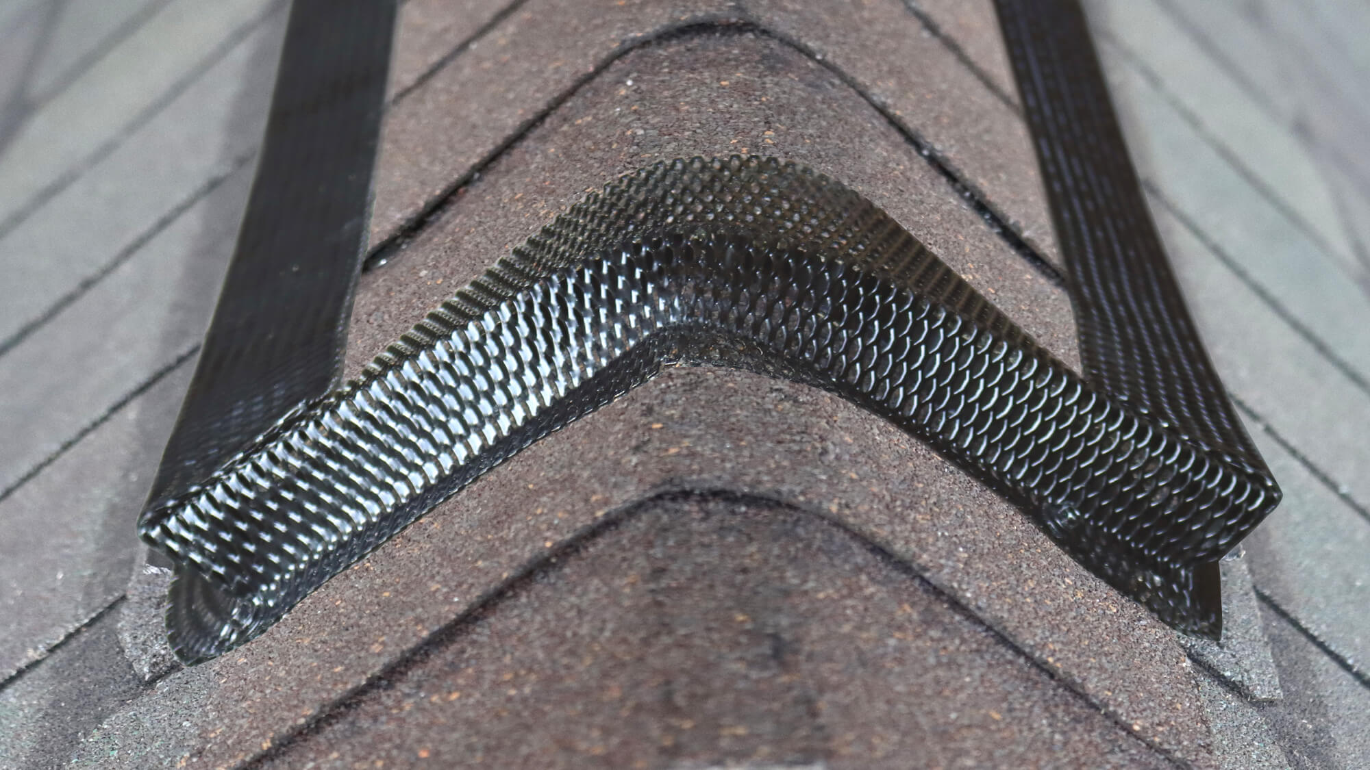 Keep Bats Out of Your Home with RidgeGuard® Vent Protection System