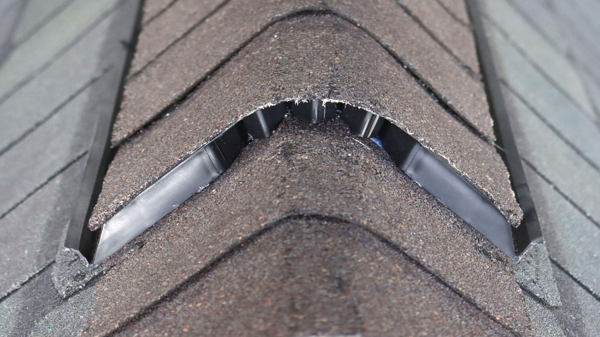 Keep Bats Out of Your Home with RidgeGuard® Vent Protection System