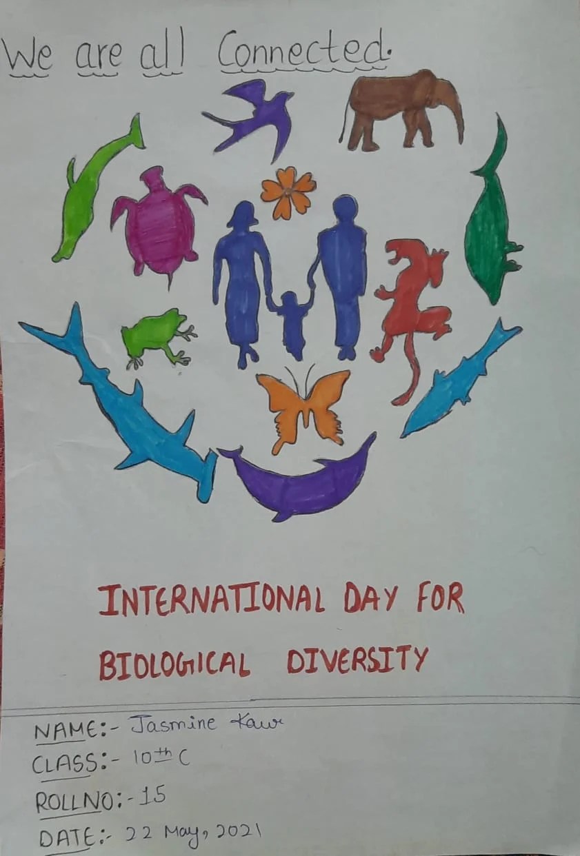 International Biological diversity day celebration EVENTS