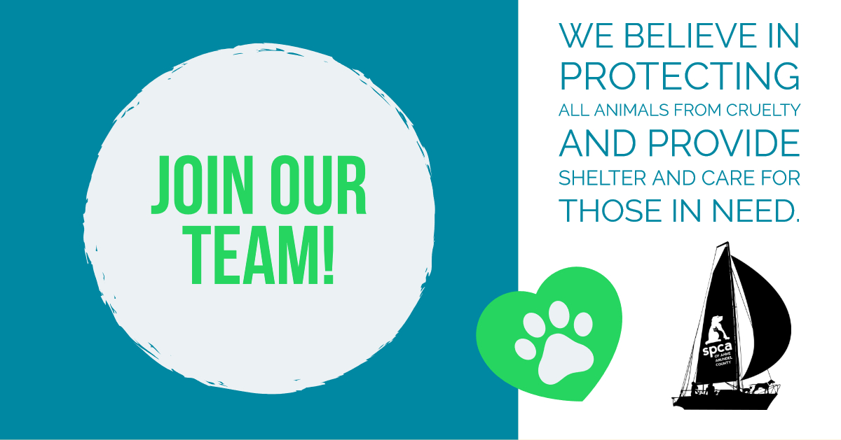 Volunteer Coordinator SPCA of Anne Arundel County