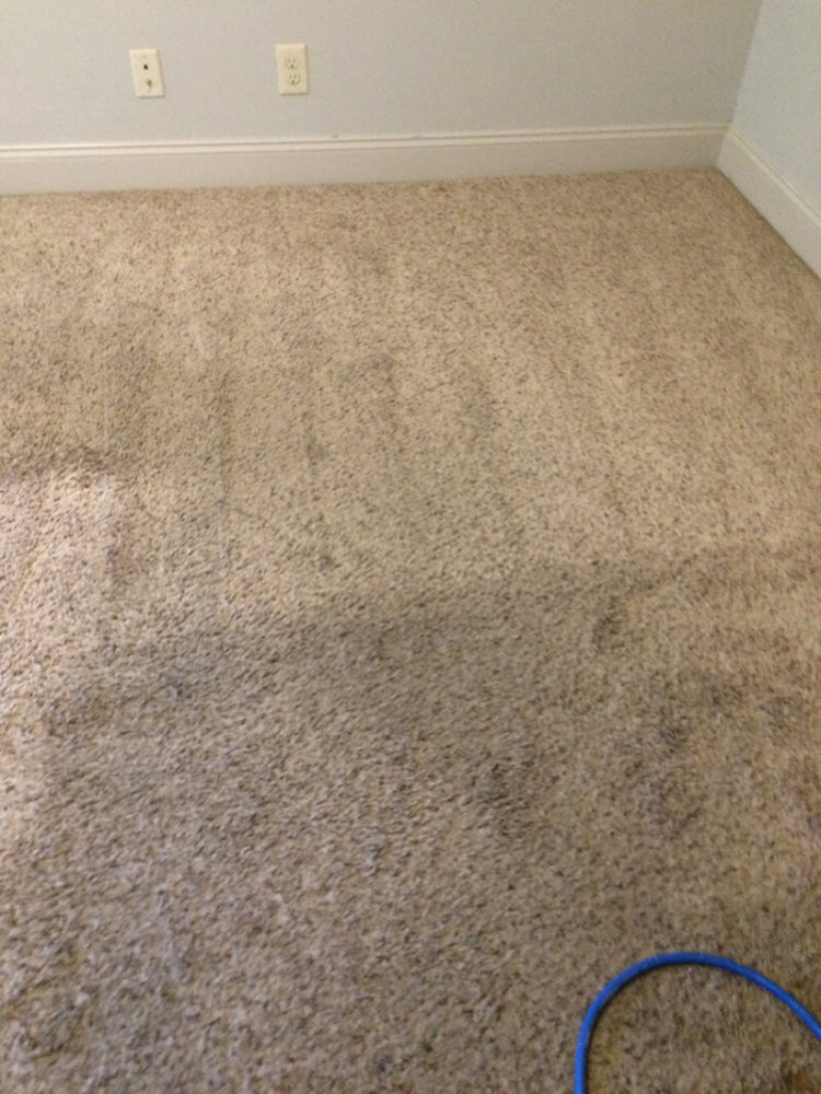 Carpet Cleaning Clarksville TN Gallery PICTURES