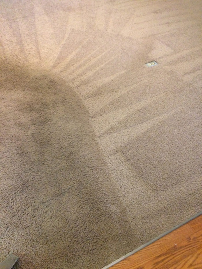 Carpet Cleaning Clarksville TN Gallery PICTURES