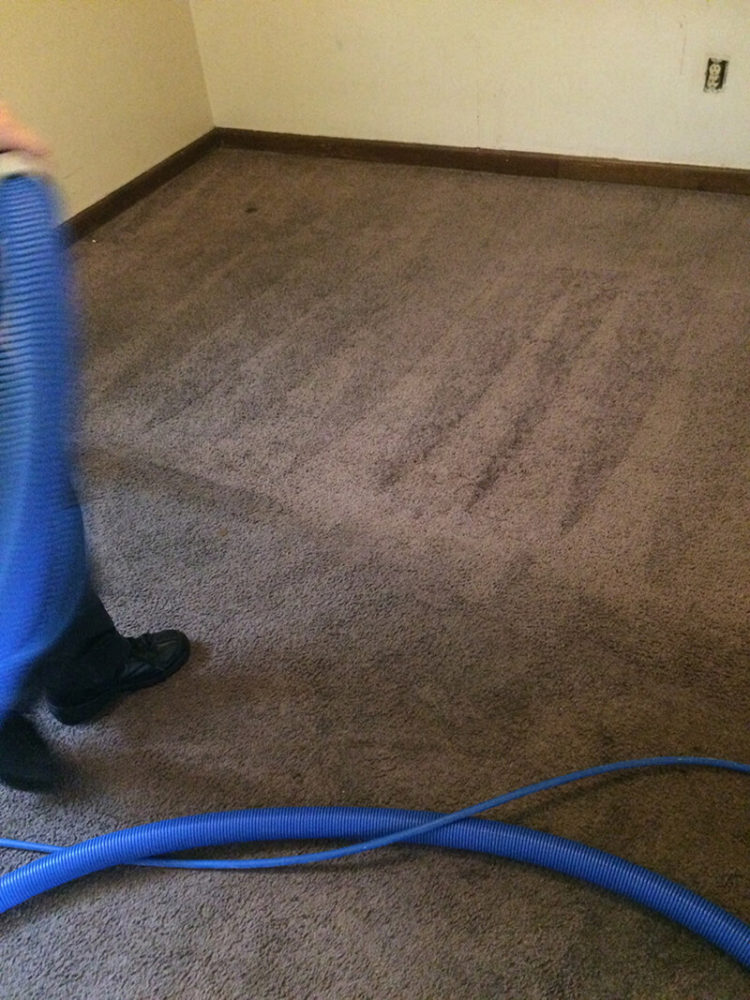 Carpet Cleaning Clarksville TN Gallery PICTURES