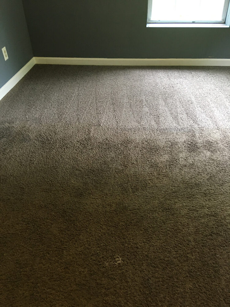 Carpet Cleaning Clarksville TN Gallery PICTURES