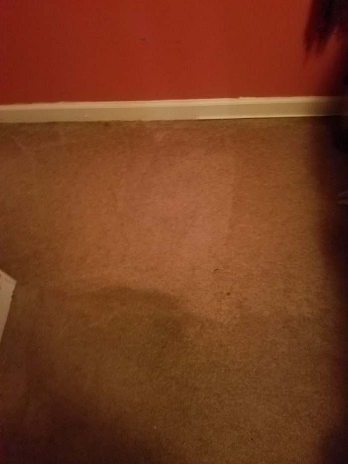 Carpet Cleaning Clarksville TN Gallery PICTURES