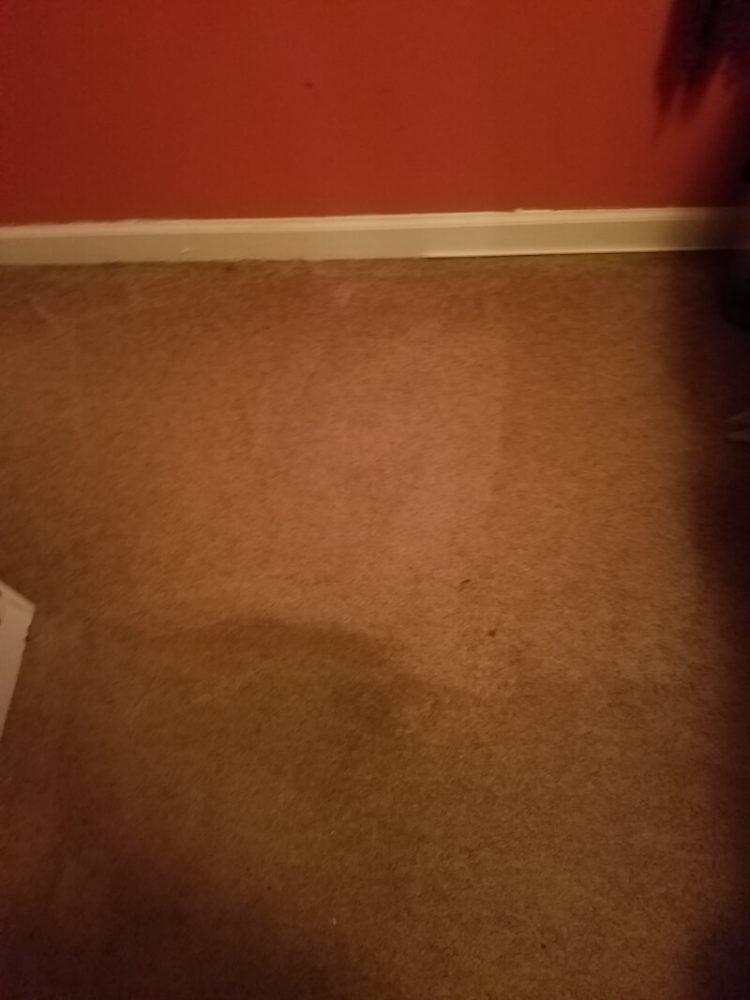 Carpet Cleaning Clarksville TN Gallery PICTURES