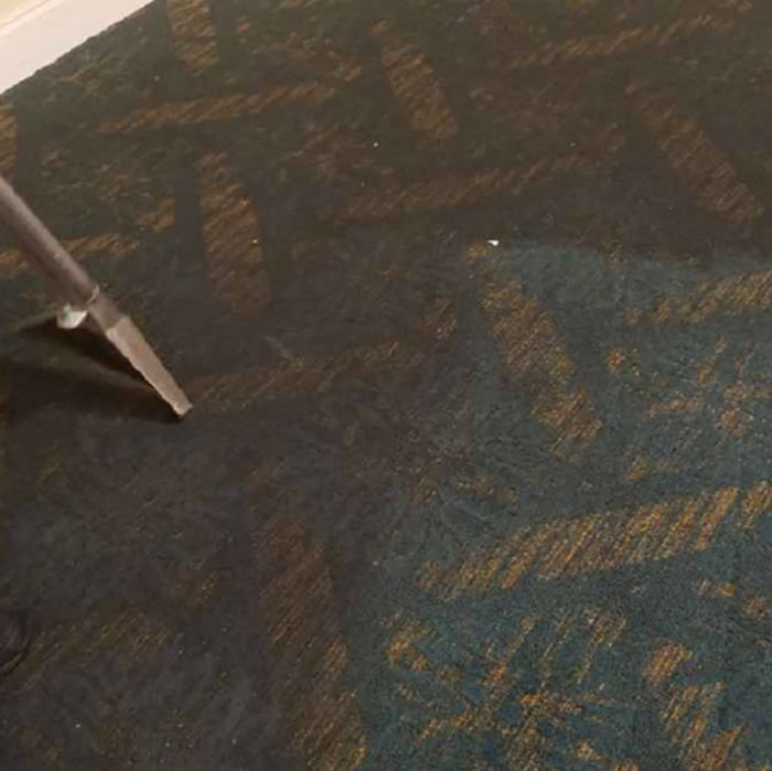 Carpet Cleaning Clarksville TN Gallery PICTURES