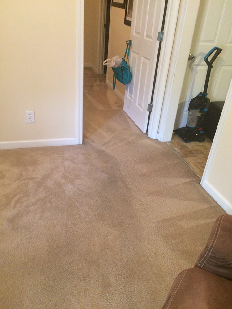 Carpet Cleaning Clarksville TN Gallery PICTURES