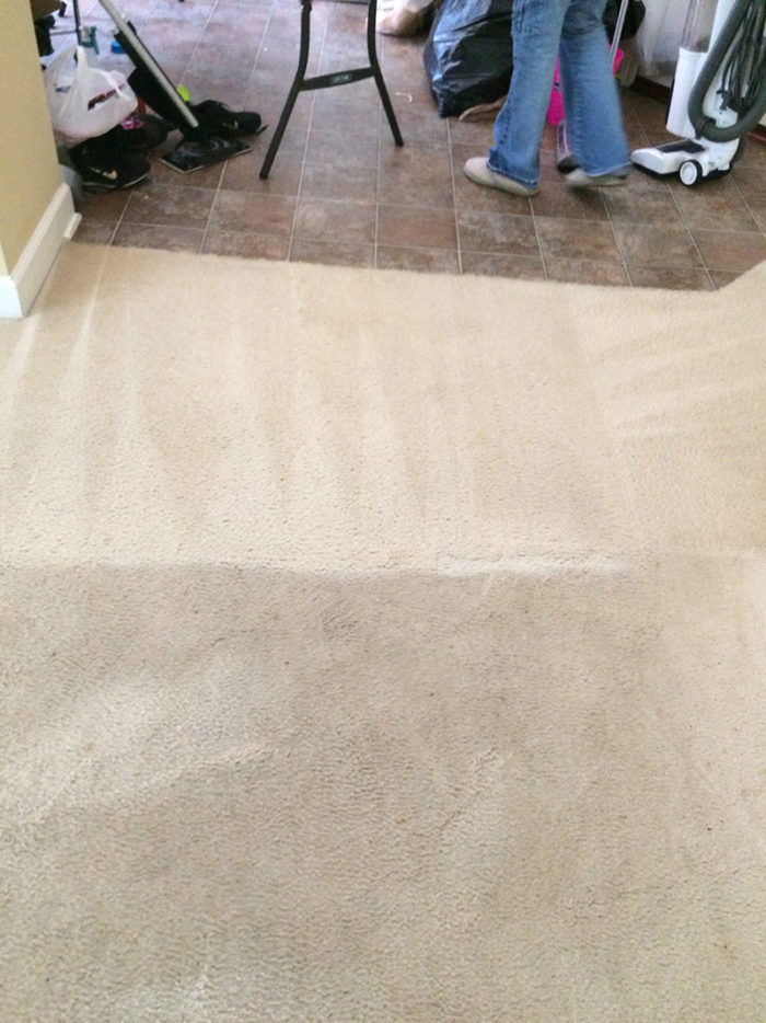 Carpet Cleaning Clarksville TN Gallery PICTURES
