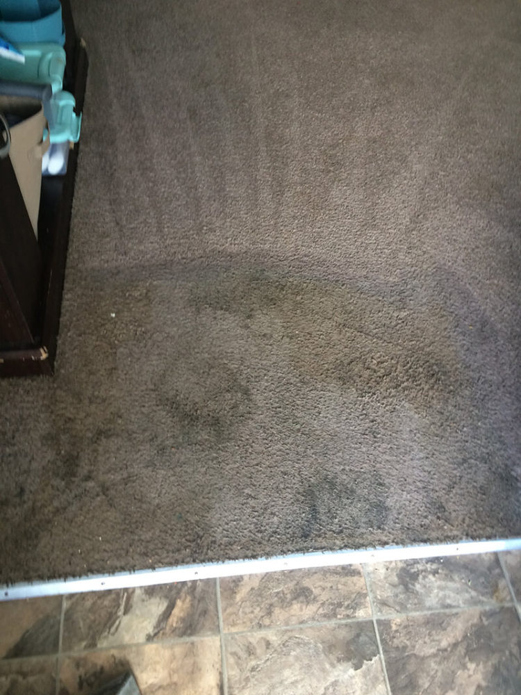 Carpet Cleaning Clarksville TN Gallery PICTURES