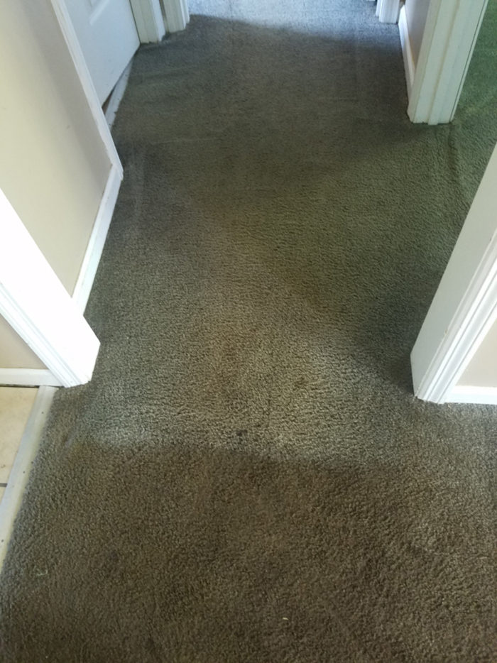 Carpet Cleaning Clarksville TN Gallery PICTURES